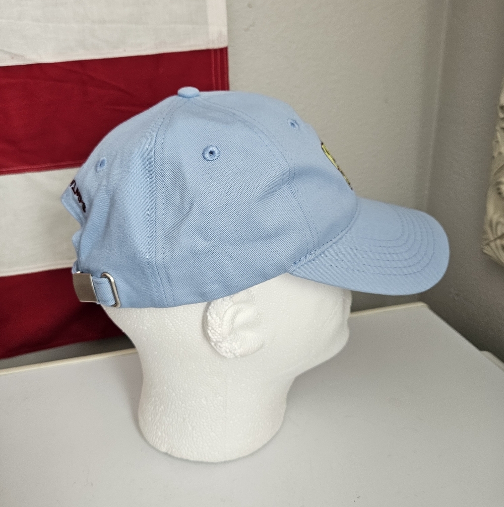 Fruit Riot Ballcap New Blue - Picture 2 of 4